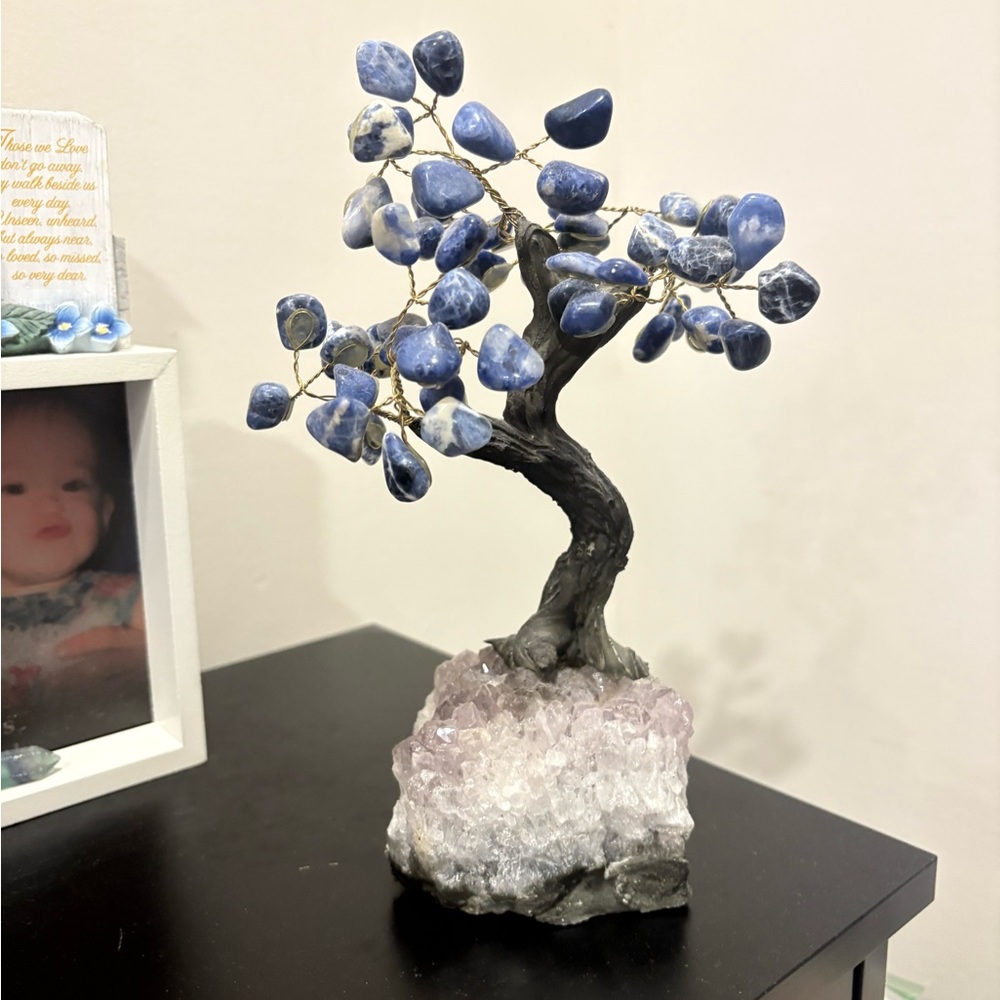 Sodalite Bonsai/Amethyst Base 5 1/2” wide x 9 1/2” tall. See more👇🏼FREE SHIPPING